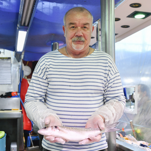 Sarl Prunier Terrassier