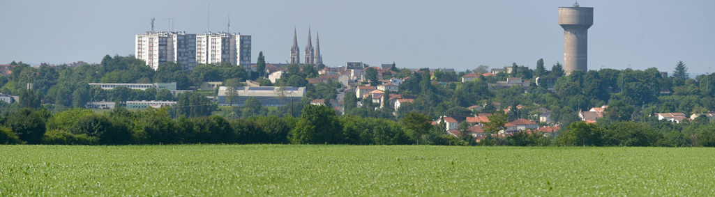 Paysage de plaine entre Niort, Echiré et Saint-Maxire